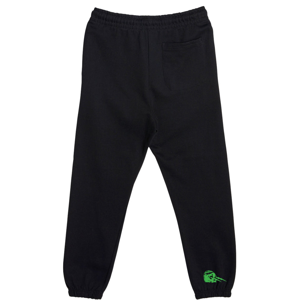 Philadelphia Eagles Go Birds Joggers Sweats 90s style sweat pants