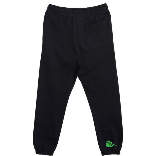 Philadelphia Eagles Go Birds Joggers Sweats 90s style sweat pants