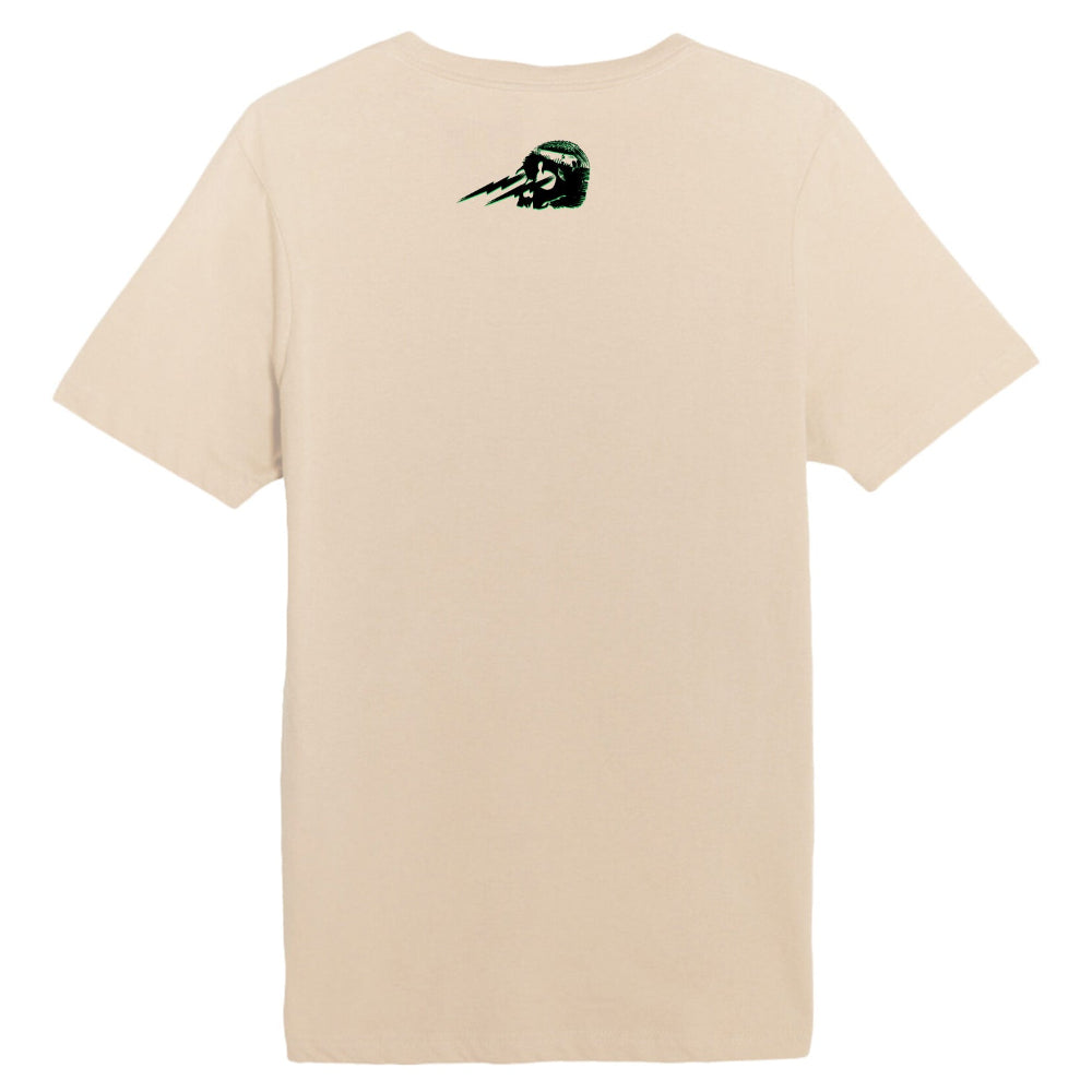 Philadelphia Eagles tee with eagles logo with skull in talons and text saying Philthy Birds No one likes us we dont care tan philthy birds